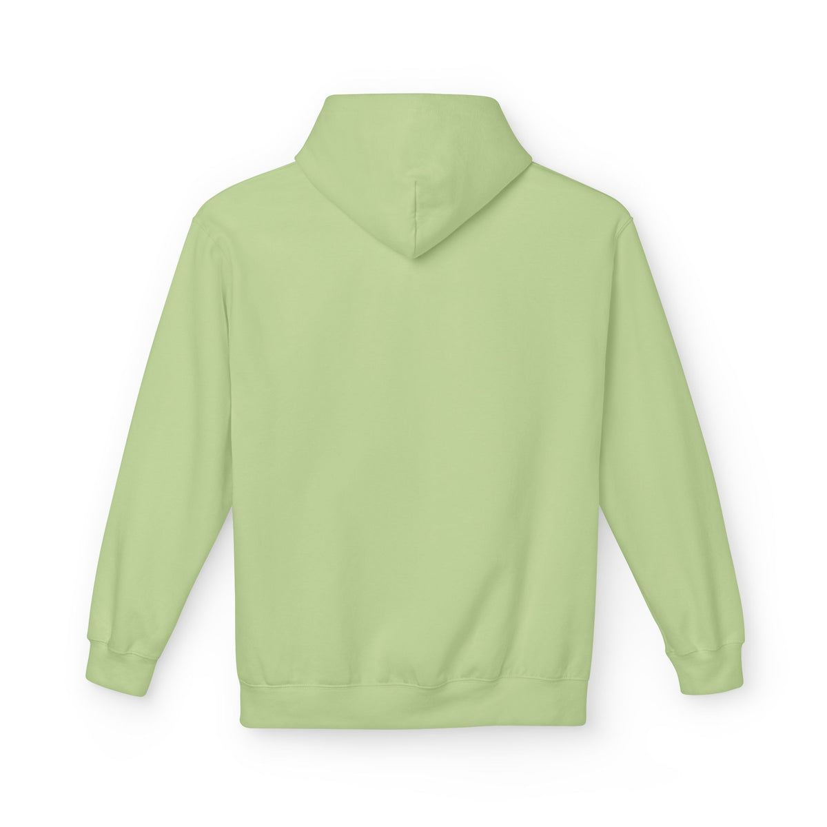 6. GADSDEN _ PULL OVER HOODIE
