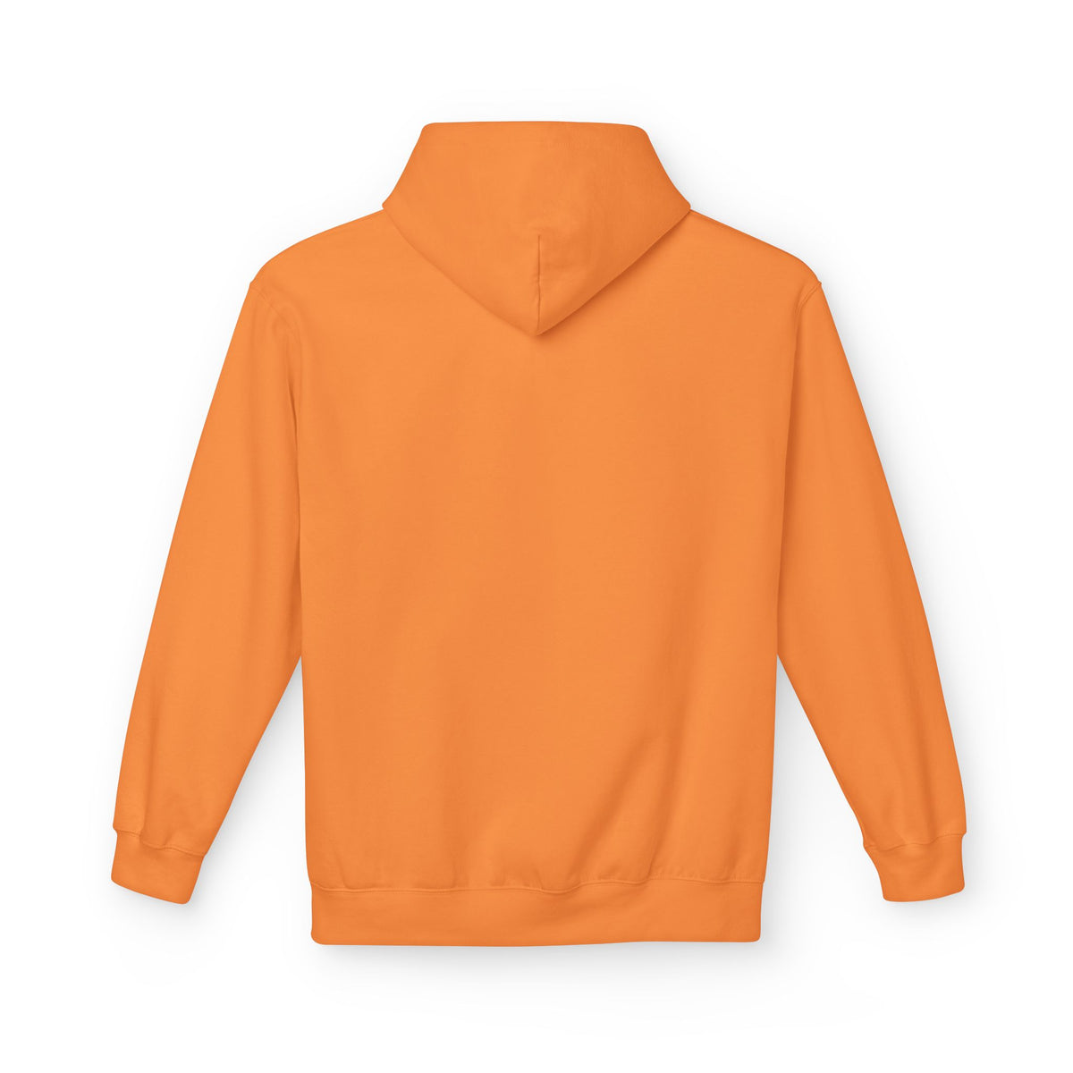 6. GADSDEN _ PULL OVER HOODIE